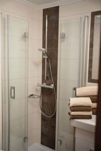 ein Bad mit einer Dusche und einer Glastür in der Unterkunft Frühstückspension Auer - Haus Kargl in Schladming