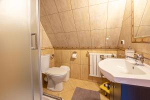 a small bathroom with a toilet and a sink at U Majerczyka in Zakopane