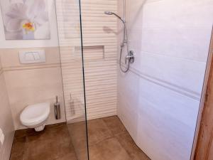 uma cabina de duche na casa de banho com WC em Patztauhof Wohnung Tschavalatsch em Sluderno