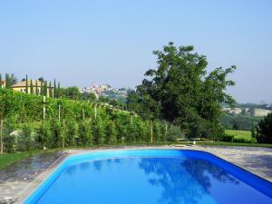 a large blue swimming pool in front of a vineyard at Residenza Cà d´Masseu in Calamandrana