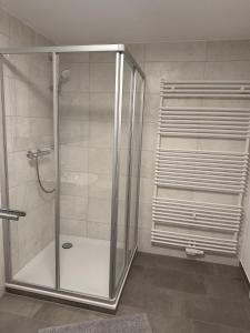 a shower with a glass door in a bathroom at Appartement 2 Birkenhof in Drolshagen