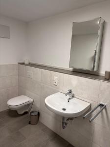 W łazience znajduje się umywalka, toaleta i lustro. w obiekcie Appartement 2 Birkenhof w mieście Drolshagen