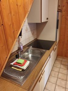 uma cozinha com um lavatório e uma bancada em Uriges Apartment + Schönblick + mitten im Bayerischen Wald + WLAN kostenfrei em Schöfweg