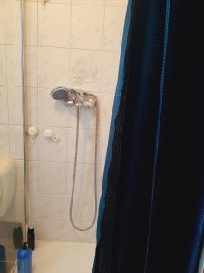 La salle de bains est pourvue d'une douche avec un rideau de douche bleu. dans l'établissement Evere home - Private room, à Bruxelles