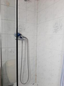 a bathroom with a shower with a toilet at Evere home - Private room in Brussels