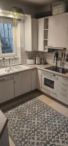 a kitchen with a sink and a stove top oven at Apartment Waltendorf in Graz