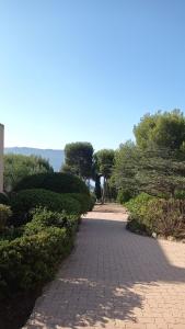 a brick walkway with trees on the sides of it at BLEU CASSIS-VINTAGE -3 Ch- Magnifique vue mer- Parking gratuit et Jardin in Cassis
