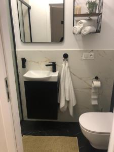 a bathroom with a sink and a toilet and a mirror at Apartament Frezja in Gryfów Śląski