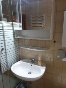 y baño con lavabo y espejo. en Uriges Apartment + Schönblick + mitten im Bayerischen Wald + WLAN kostenfrei, en Schöfweg