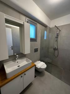 een badkamer met een wastafel, een toilet en een douche bij Blue Salt in Kalo Livadi