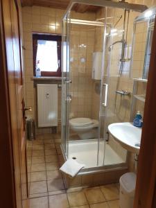 uma casa de banho com um chuveiro, um WC e um lavatório. em Urig mitten im Bayerischen Wald mit traumhaften Fernblick WLAN kostenfrei em Schöfweg