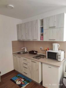 a small kitchen with a microwave and a sink at Castello apartman Kopaonik in Kopaonik