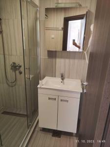 科帕奧尼克的住宿－Castello apartman Kopaonik，浴室配有白色水槽和淋浴。