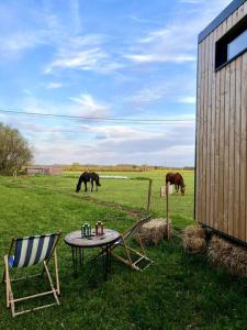 dos caballos pastando en un campo con una mesa y sillas en Tiny House nature proche Montargis - 1h de Paris ! 