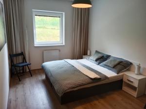 een slaapkamer met een bed met een raam en een stoel bij Promenáda 16 in Trutnov