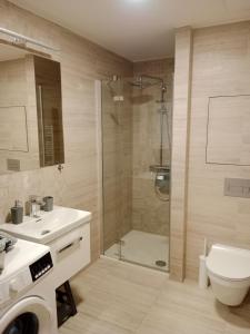 een badkamer met een douche, een toilet en een wastafel bij Promenáda 16 in Trutnov