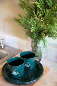 duas chávenas de café num prato ao lado de um vaso em 2401 - Oak Knoll Studio with Jacuzzi #2 cabin em Big Bear Lake