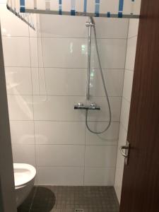 een badkamer met een douche, een toilet en een wastafel bij Zentrales EG Apartment im Glockenbachviertel in München