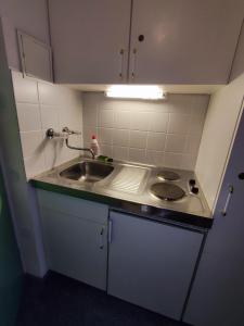 una piccola cucina con lavandino e bancone di Duplex apartment Almberg a Philippsreut