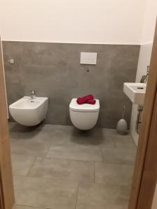 a bathroom with a toilet and a sink at Apartment Kristall Real in Bad Radkersburg