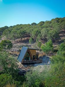 mały dom w środku lasu w obiekcie Quinta Alma - Ecological Retreat Farm w Aljezur