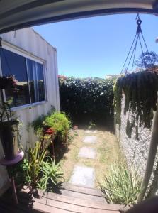 Zahrada ubytování Pousada Beach Box + 2 fotografie