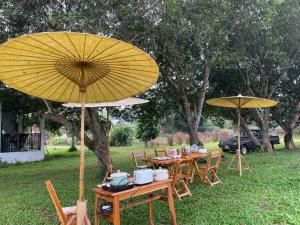 Imagen de la galería de Punpawn Farm-stay Villa B, en Ban Pa Daet