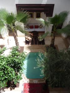 - une vue sur la piscine située dans une cour bordée de palmiers dans l'établissement Riad Matham, à Marrakech