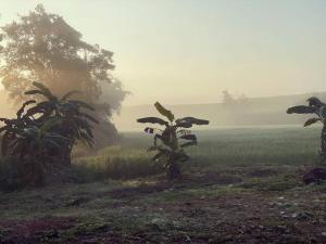 Imagen de la galería de Punpawn Farmstay Villa C, en Ban Pa Daet
