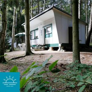 a small house in the middle of a forest at Bungalow SONNE UND MEER direkt am Strand in Dranske