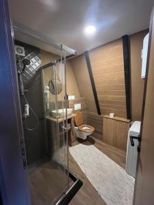 a bathroom with a shower and a toilet at Hanina Village Resort - l i ll in Čajniče