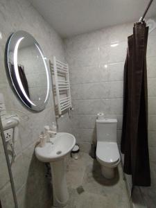 ein Badezimmer mit Waschbecken, Toilette und Spiegel in der Unterkunft Guest House "Mtisubani" in Sighnaghi + 22 Fotos