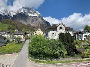 a village with houses and a mountain in the background at Revier schlicht und bahnsinnig in Mitlödi