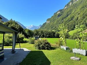 Blick auf einen Garten mit Bergblick im Hintergrund in der Unterkunft Revier caravan-ig und cool in Hätzingen