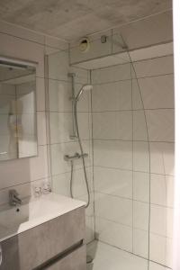 a bathroom with a shower and a sink at Les Balcons de la Meije in La Grave