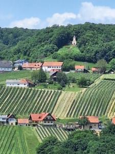 a small village in the middle of a vineyard at Apartment Kristall Real in Bad Radkersburg