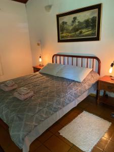 um quarto com uma cama com duas almofadas em Chalés SFX em São Francisco Xavier