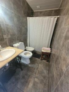 La salle de bains est pourvue de toilettes et d'un lavabo. dans l'établissement La Llera 2, à Baradero