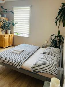 a bed in a room with a window and plants at Apartmán Lucián in Prague