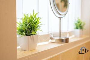eine Pflanze, die auf einem Fensterbrett neben einem Spiegel sitzt in der Unterkunft Minchin House, nr Npton Saints Rugby, sleeps 8 in Dallington + 37 Fotos
