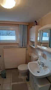 La salle de bains est pourvue de toilettes blanches et d'un lavabo. dans l'établissement Schlossblick keine Montagewohnung, 