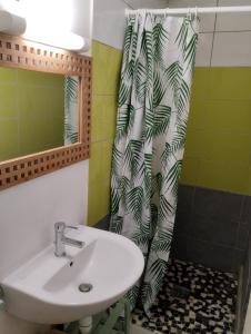 La salle de bains est pourvue d'un lavabo et d'un rideau de douche. dans l'établissement Villa-Coco, à Grand-Bourg