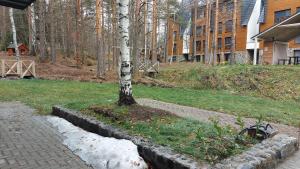 Vrt ispred objekta Mountain Dreams