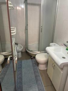 a bathroom with a toilet and a sink and a shower at Домик для гриль и отдыха Телецентр in Chişinău