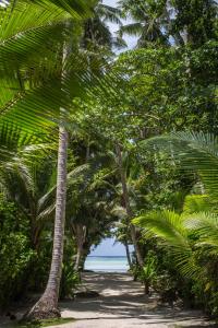 een pad door palmbomen op het strand bij M&A Riverside Beach Bungalows in Chol
