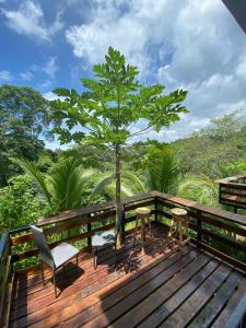 雅各的住宿－Punta Leona Beach Condos，木甲板上摆放着椅子和一棵树