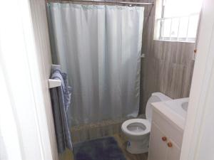 a bathroom with a shower curtain and a toilet at Basil At Villa in Arnos Vale