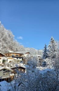 a village covered in snow with trees and buildings at Bio-Chalet Haus Wagner in Niederndorf