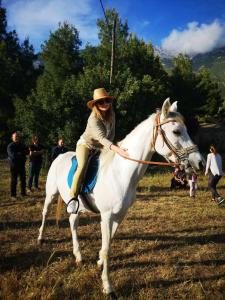 Una ragazza che cavalca un cavallo bianco in un campo di ReLux Villa a Cefalonia