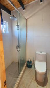 a bathroom with a toilet and a glass shower at Casa Lomas de Cuchi in Constitución